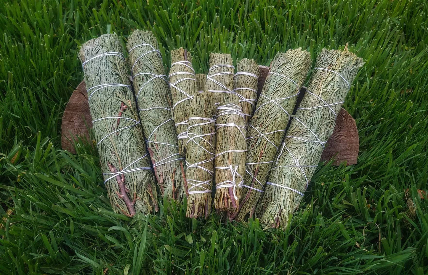 CEDAR Smudge Wand Smoke Cleansing Ritual House Smudging Cleanse Sage Sticks Natural Incense Smudging Dried Herb Bundle Altar Tools Offerings