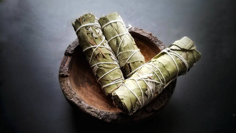 Eucalyptus Smudge Wands Smoke Cleansing Ritual House Smudging Cleanse Sage Sticks Natural Incense Dried Herb Bundles Altar Tools Protection