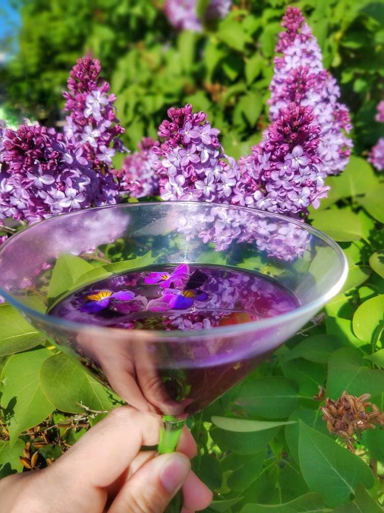Blue Butterfly Pea Flower Loose Leaf Tea, all natural color changing magical teas,organic artisan gourmet caffeine free herbal tea drink mix