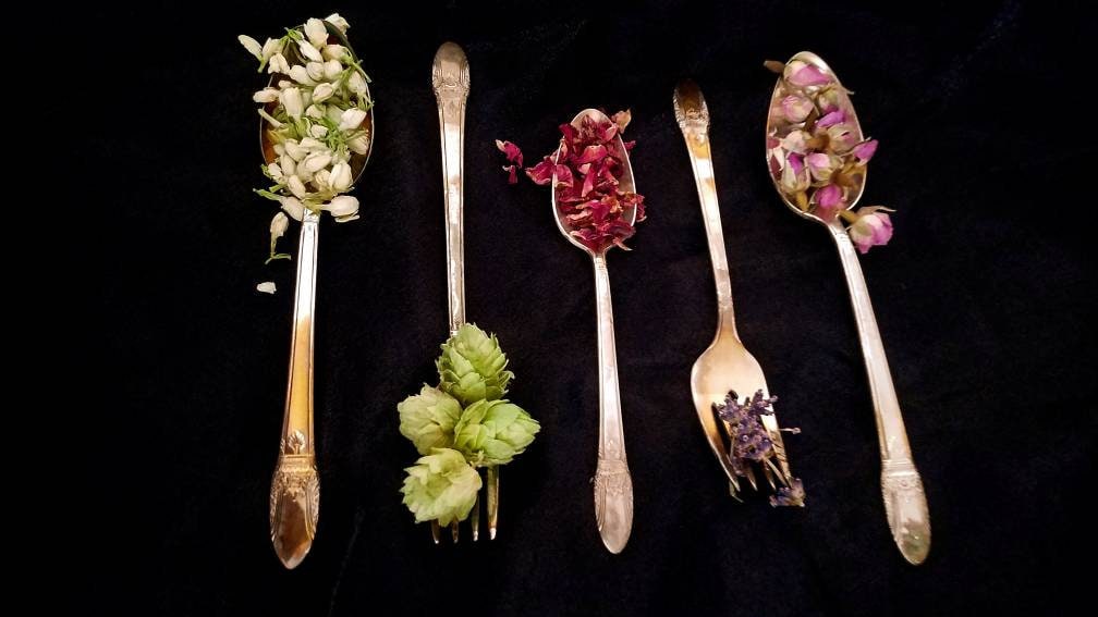 Apothecary Starter Kit Dried Herb Sampler Herbalism Ritual Wild Herbs Chakra Organic Wildcrafted Herbal Set Survivalist Learning