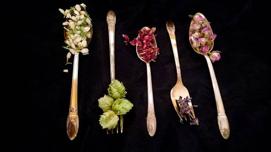 Apothecary Starter Kit Dried Herb Sampler Herbalism Ritual Wild Herbs Chakra Organic Wildcrafted Herbal Set Survivalist Learning