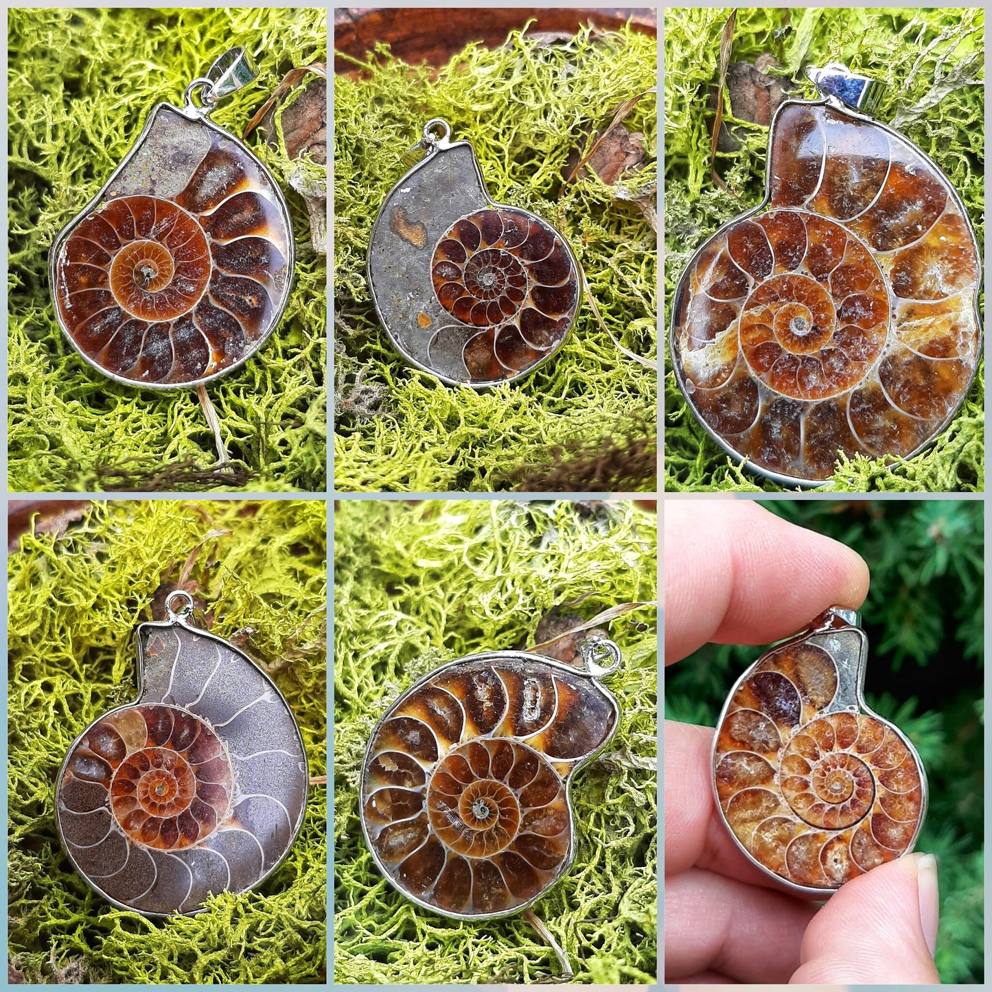 Natural Nautilus Fossil Pendant, Fossilized Ammonite Shell Necklace