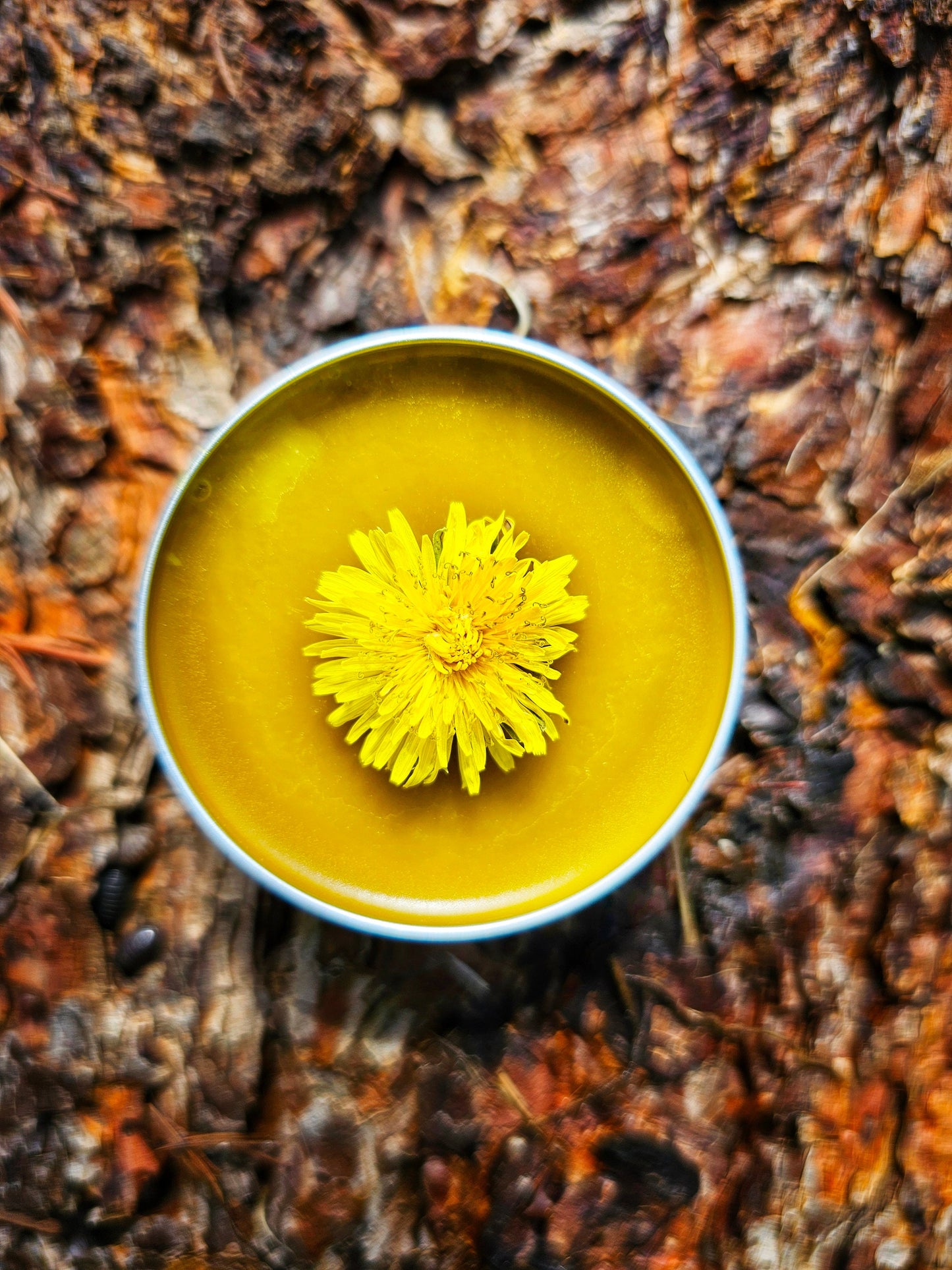 Simply Dandelion Salve, Organic Unscented Natural Skincare for Everyday Hydration & Softness, Herbal Moisturizing Balm for Rough Dry Skin