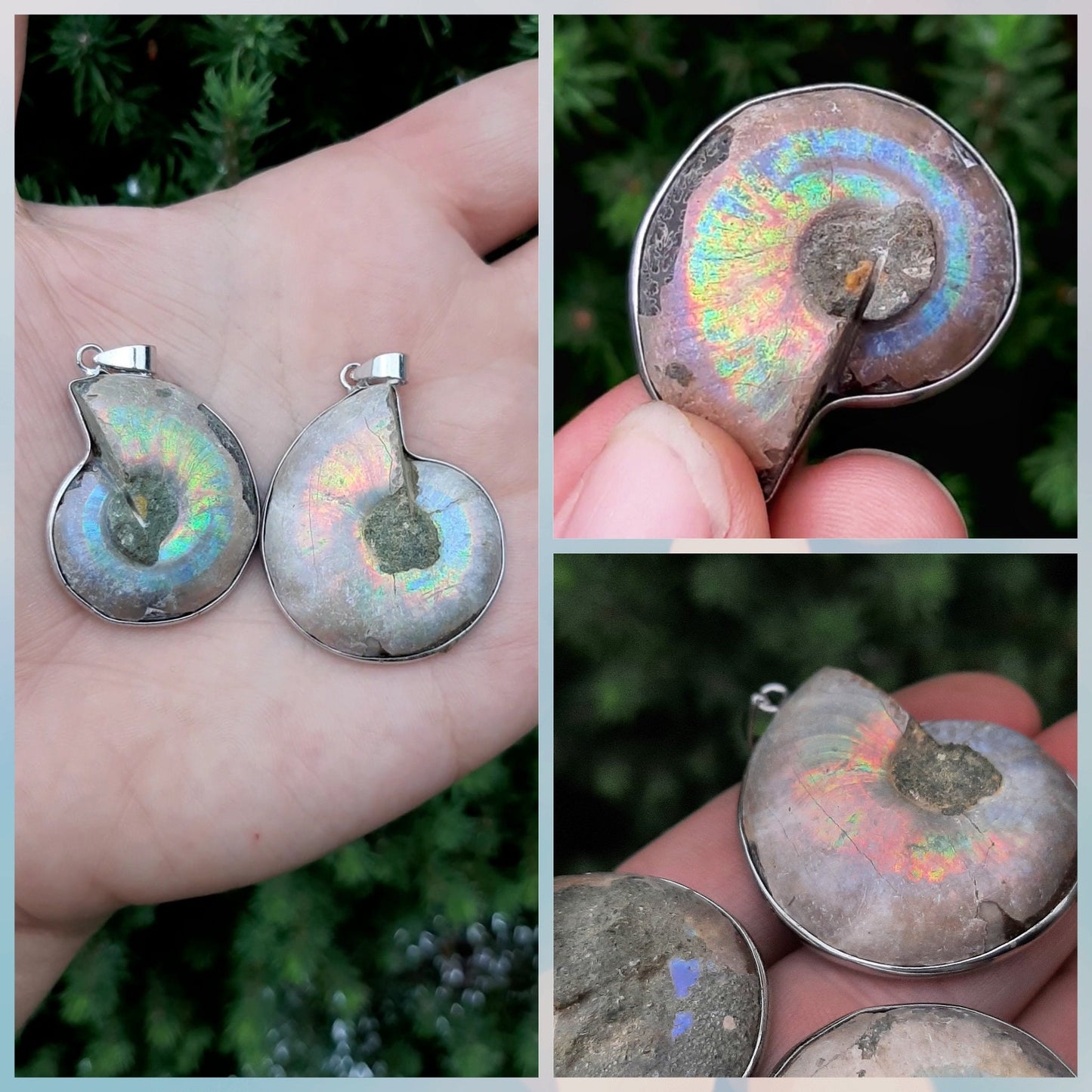 Natural Nautilus Fossil Pendant, Fossilized Ammonite Shell Necklace