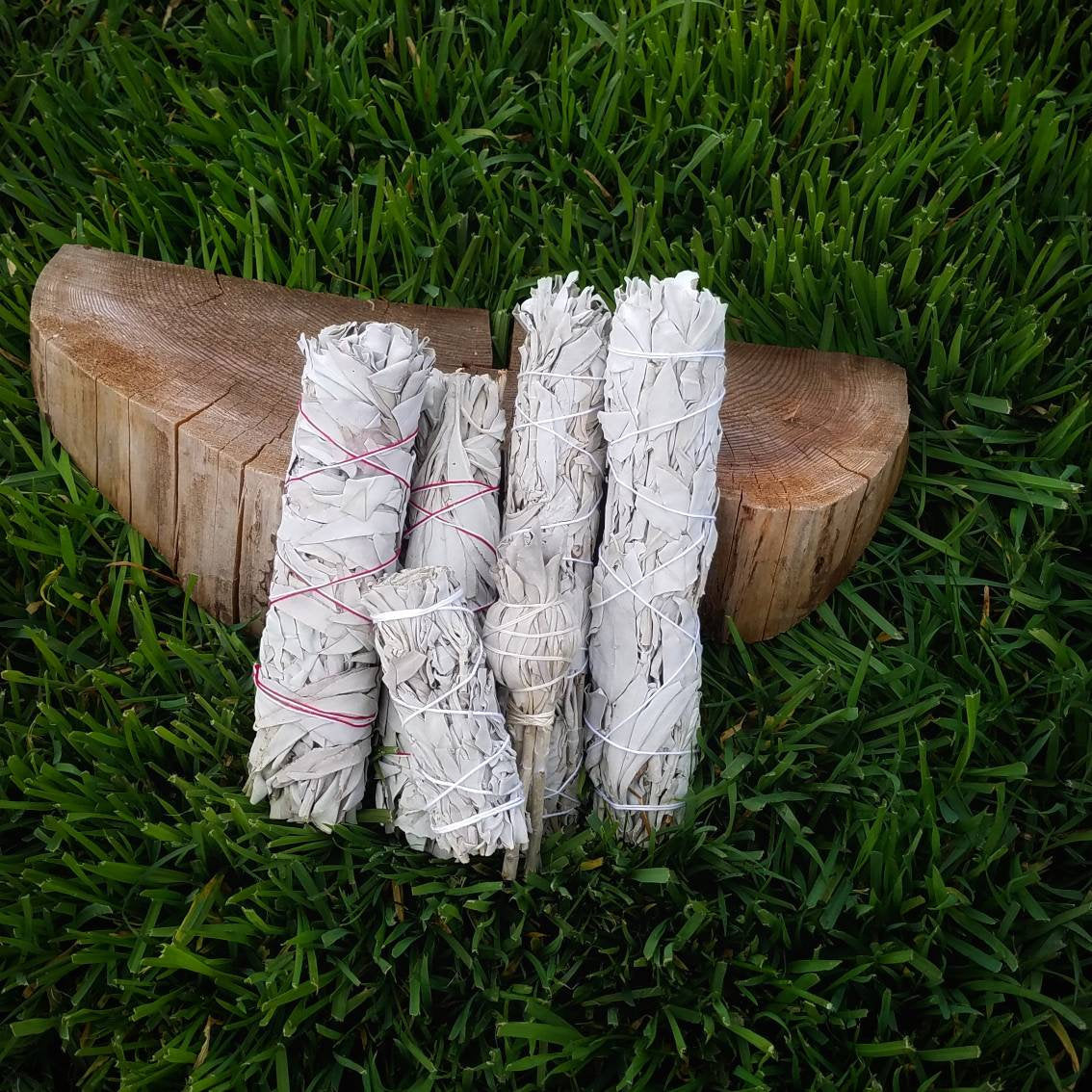 Chakra Smudge Wand White Sage Smoke Cleansing Ritual House Smudging Cleanse California White Sage Natural Incense Smudging Herbal Altar Tool