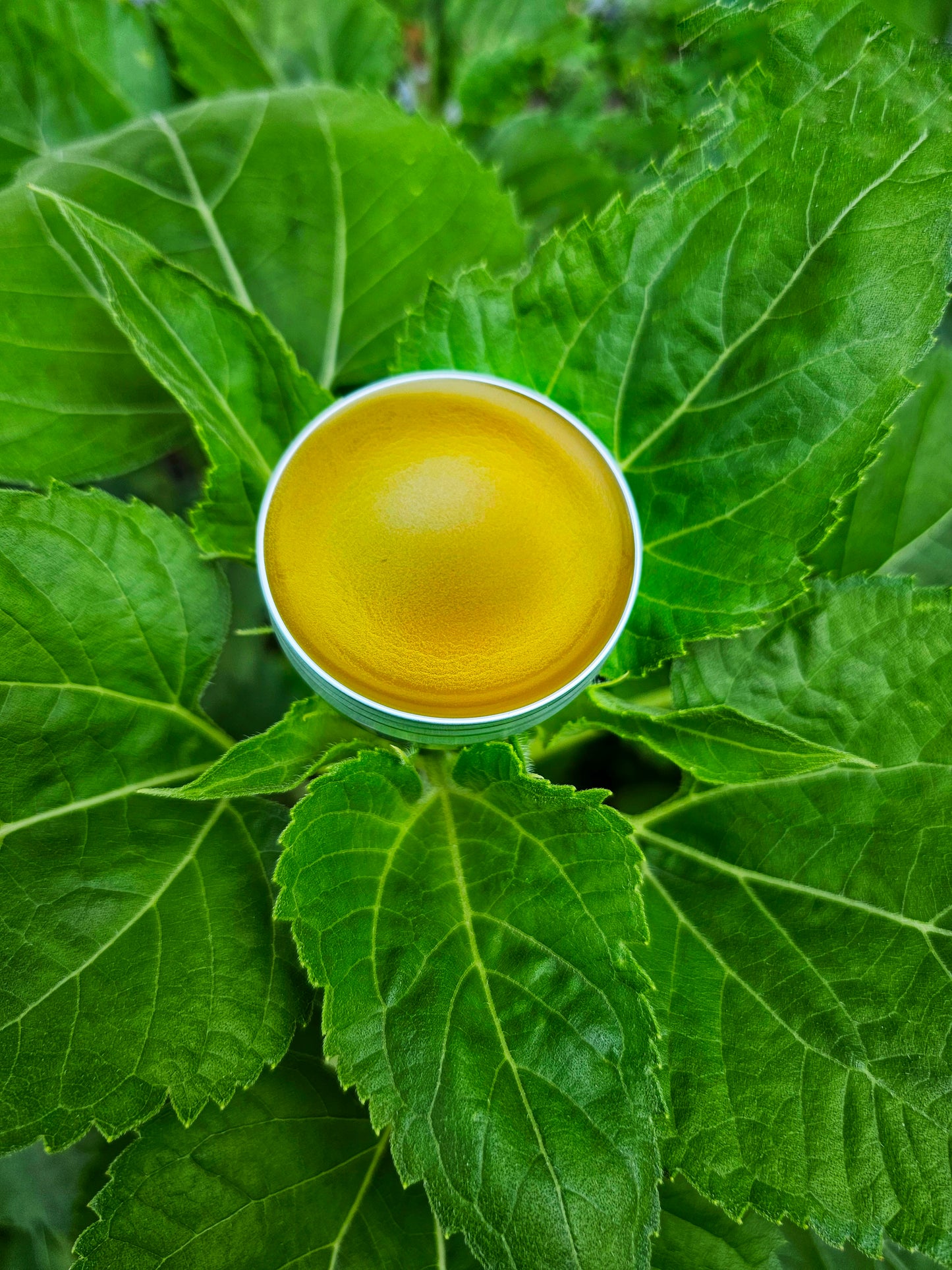 Eczema Rough scaly dry skin patch Balm for sensitive skin
